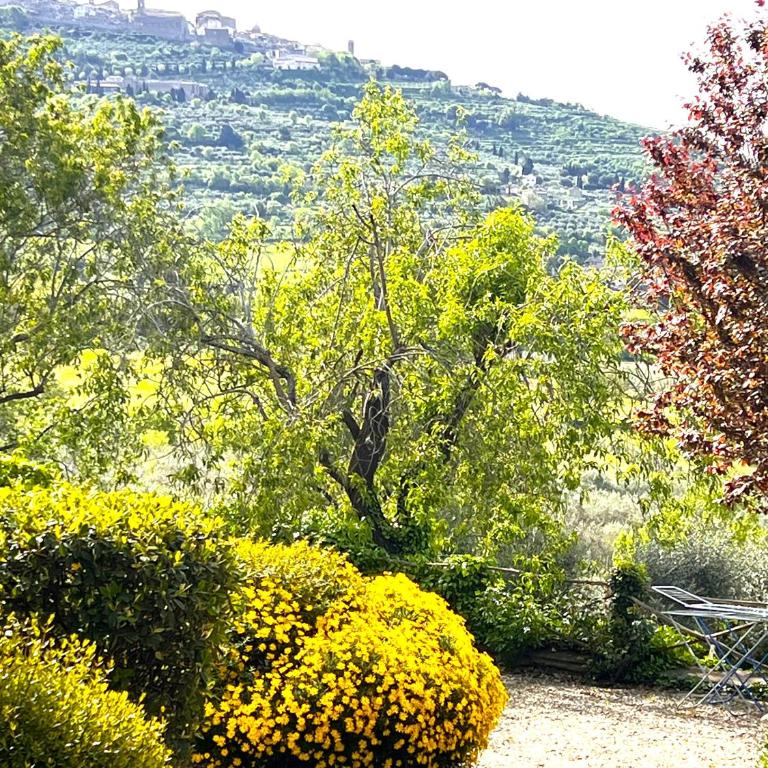 Margherita Holiday Home - Appartamento con 1 Camera da Letto - 33
