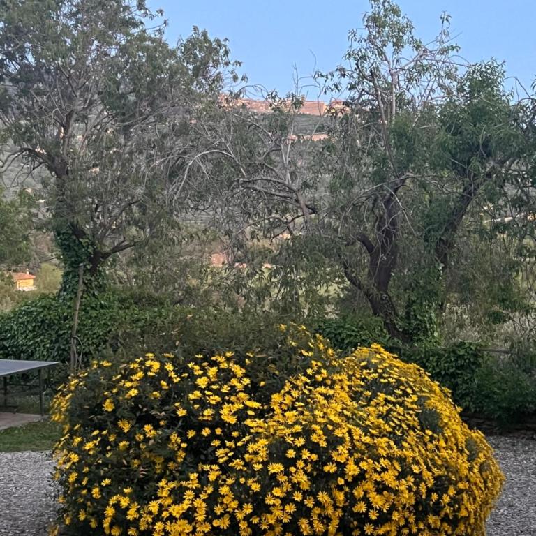 Margherita Holiday Home - Appartamento con 1 Camera da Letto - 34