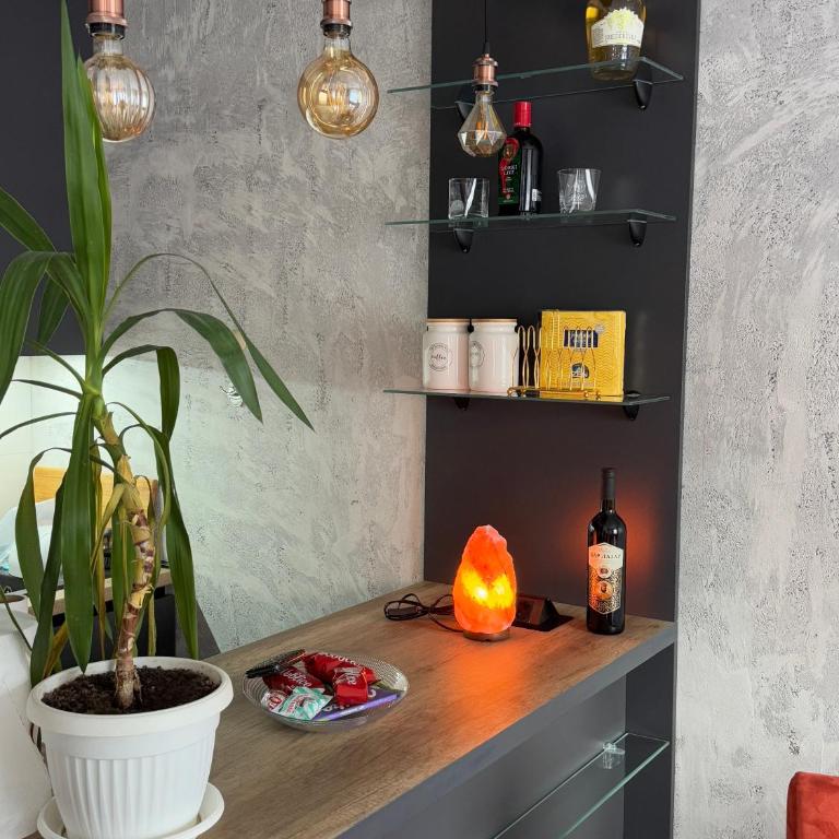 Apartman ViR - Apartman sa 1 Spavaćom Sobom - 4