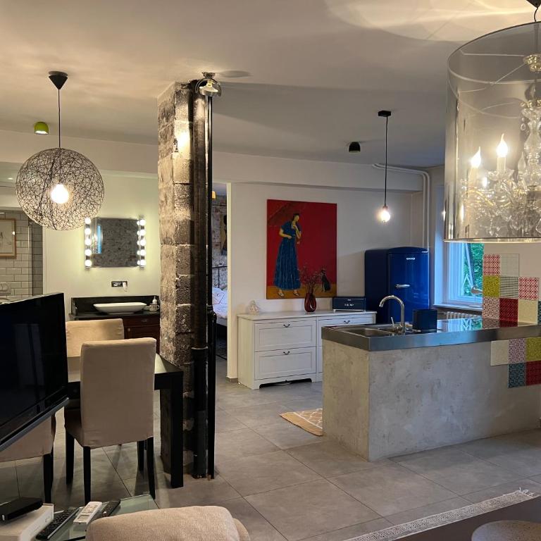 Urban open space city apartment - Apartman sa 1 Spavaćom Sobom - 5