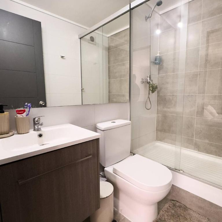 Encanto Departamento en el Corazón de Santiago Centro - One-Bedroom Apartment - 7