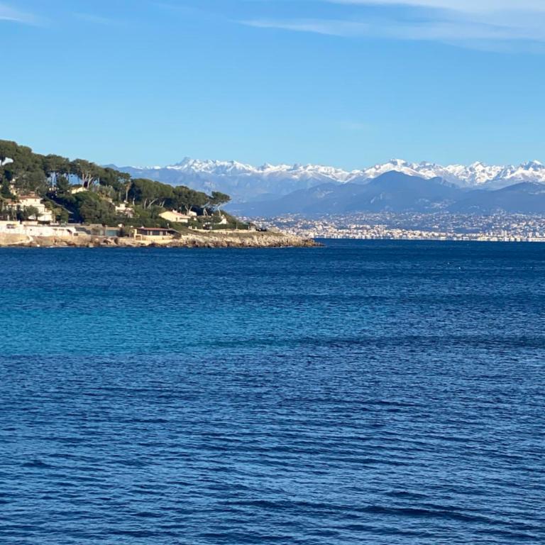 Le Palais Antibois - Appartamento con 2 Camere da Letto - 29