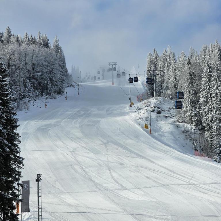 Galeria Jahorina Luxury Ski Apartments and Restaurant - Superior Apartment with Sauna - 29