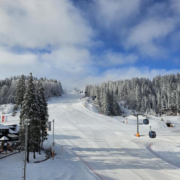 Galeria Jahorina Luxury Ski Apartments and Restaurant - Deluxe Apartment - 36
