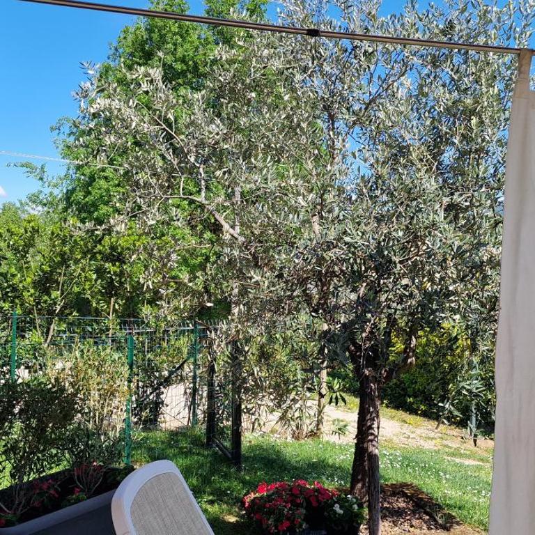 Appartamenti a Bardolino - Monolocale con Vista Giardino - 8