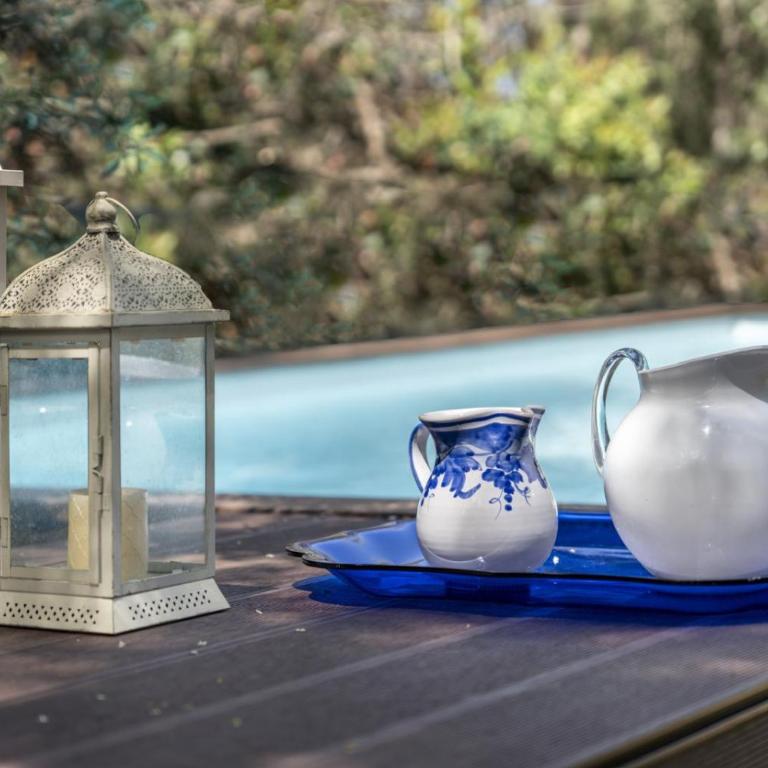 Villa Emma 50 mt from the sea with private pool - Villa with Sea View - 31