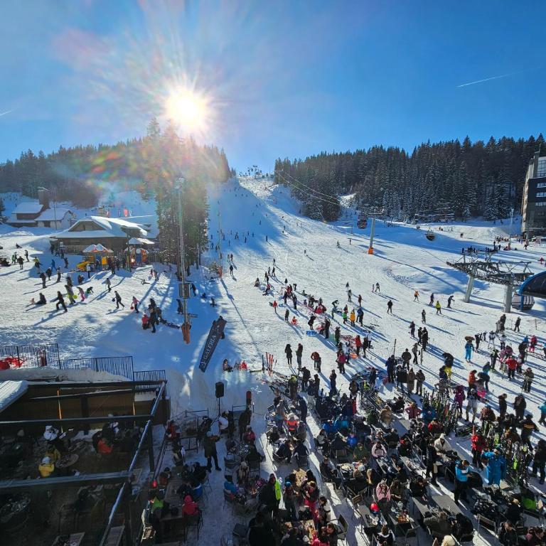 Galeria Jahorina Luxury Ski Apartments and Restaurant - Superior Apartment with Sauna - 38