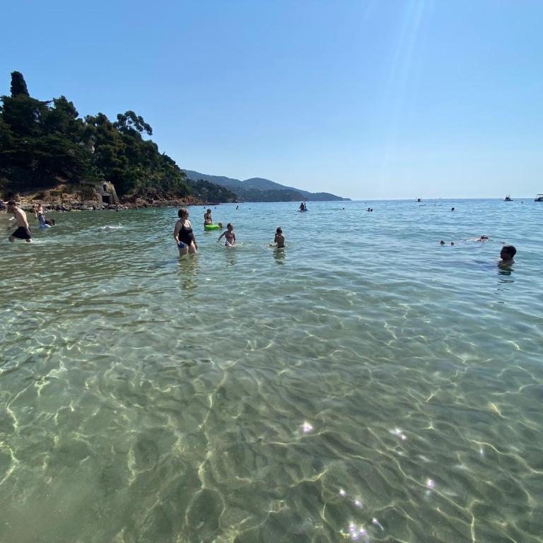 Mazet/ Appartement Le Lavandou - Apartment - 22