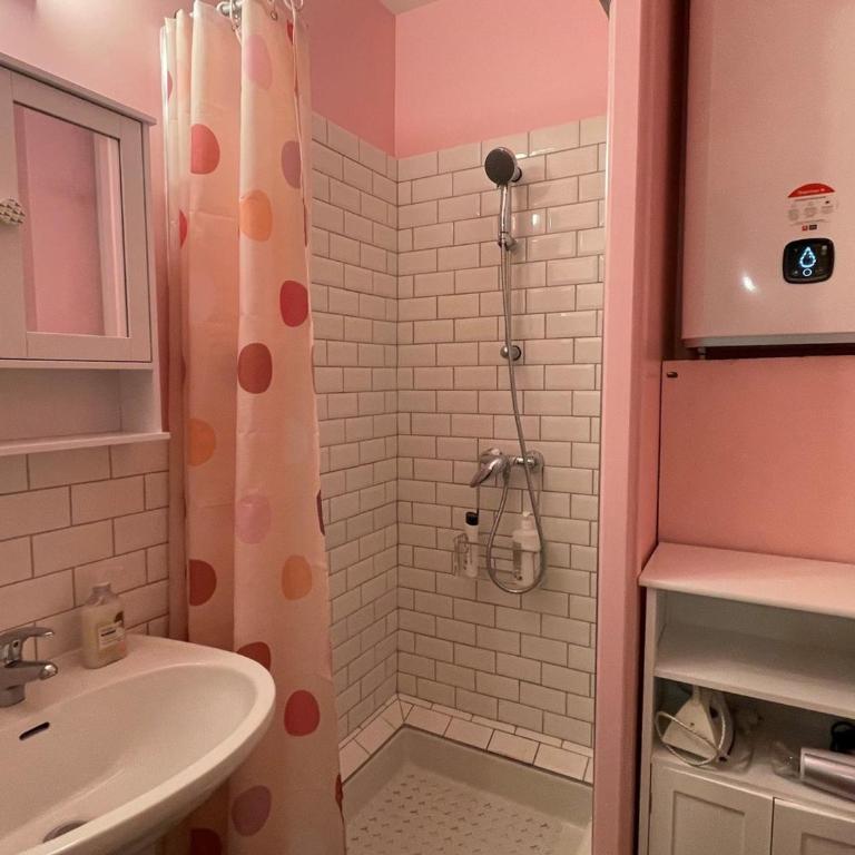 Studio lumineux et fonctionnel à Aix-les-Bains, animaux admis - FR-1-555-10 - Monolocale - 15