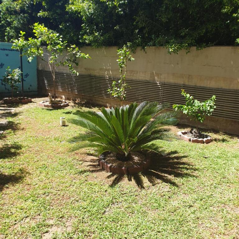 Magnolia House - Appartamento con 2 Camere da Letto - 35