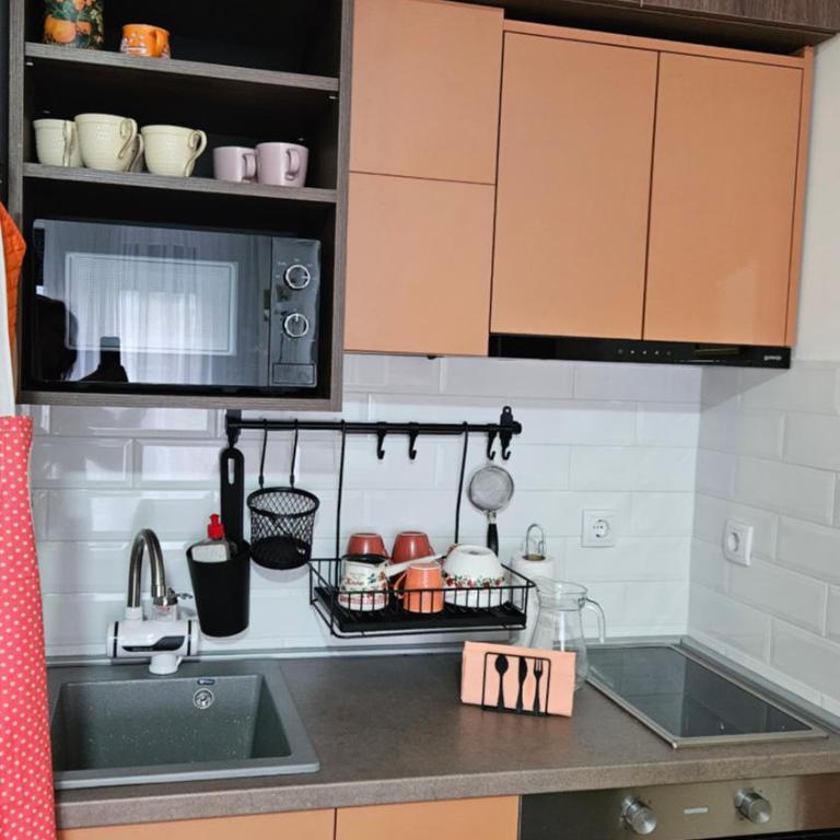 Apartmani Dragulji Vrnjačka Banja, Parking uključen, centar na 5 min - One-Bedroom Apartment - 12