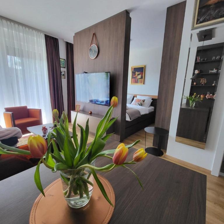 Apartmani Dragulji Vrnjačka Banja, Parking uključen, centar na 5 min - One-Bedroom Apartment - 6