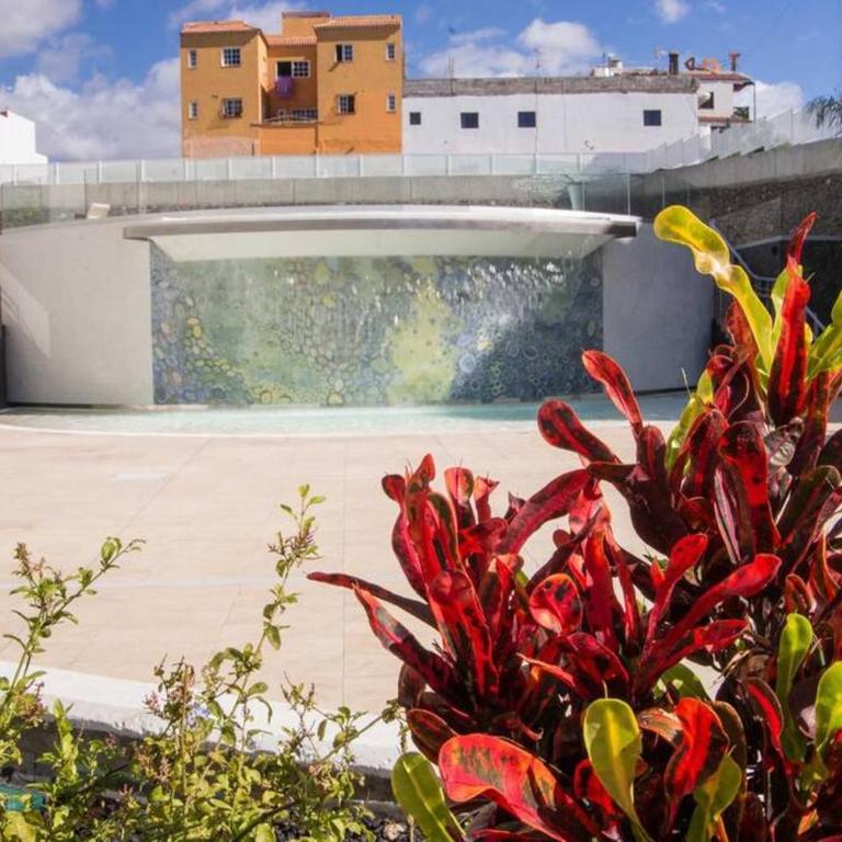 2BR Ocean Garden Apt, Heated Pool, Ocean View, PP81 - Apartamento de 2 dormitorios - 69