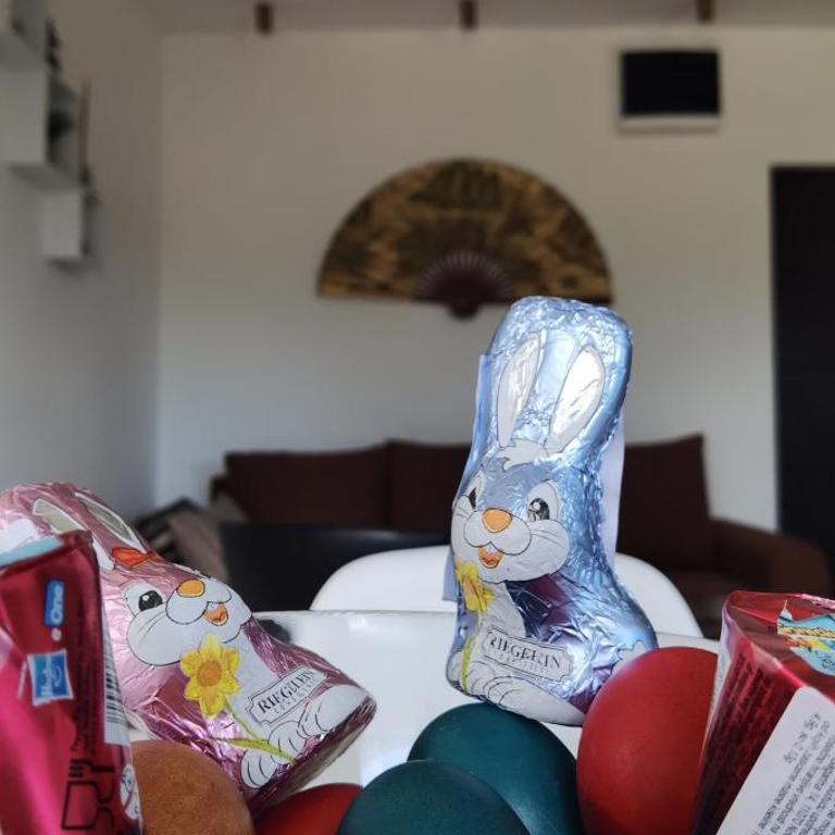 Apartman Filip Divčibare - Apartman sa 1 Spavaćom Sobom - 5
