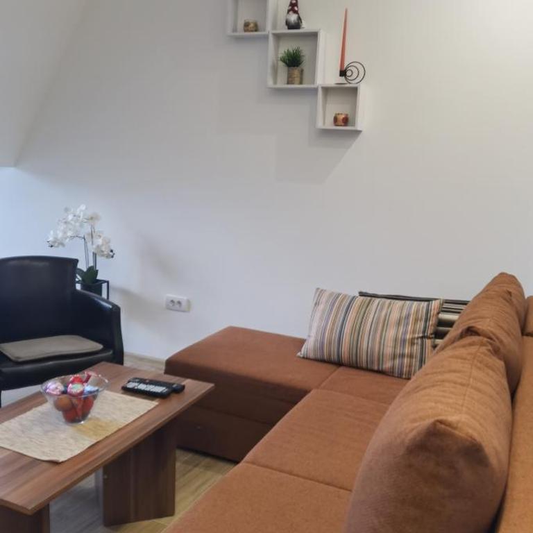 Apartman Filip Divčibare - Apartman sa 1 Spavaćom Sobom - 2