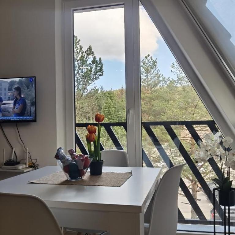 Apartman Filip Divčibare - Apartman sa 1 Spavaćom Sobom - 3