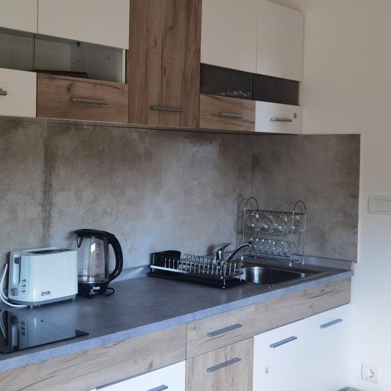Apartman Filip Divčibare - Apartman sa 1 Spavaćom Sobom - 8