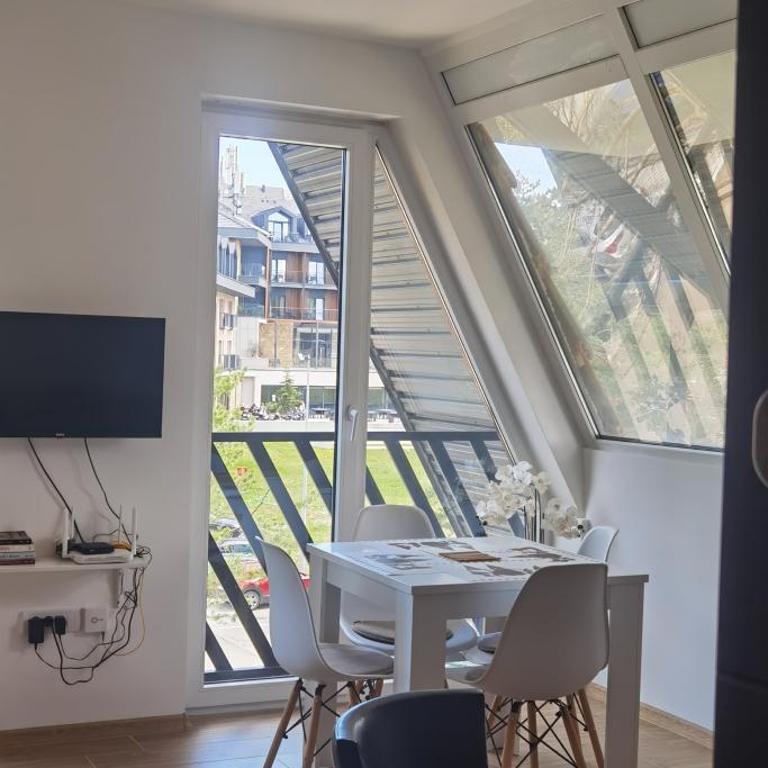 Apartman Filip Divčibare - Apartman sa 1 Spavaćom Sobom - 9