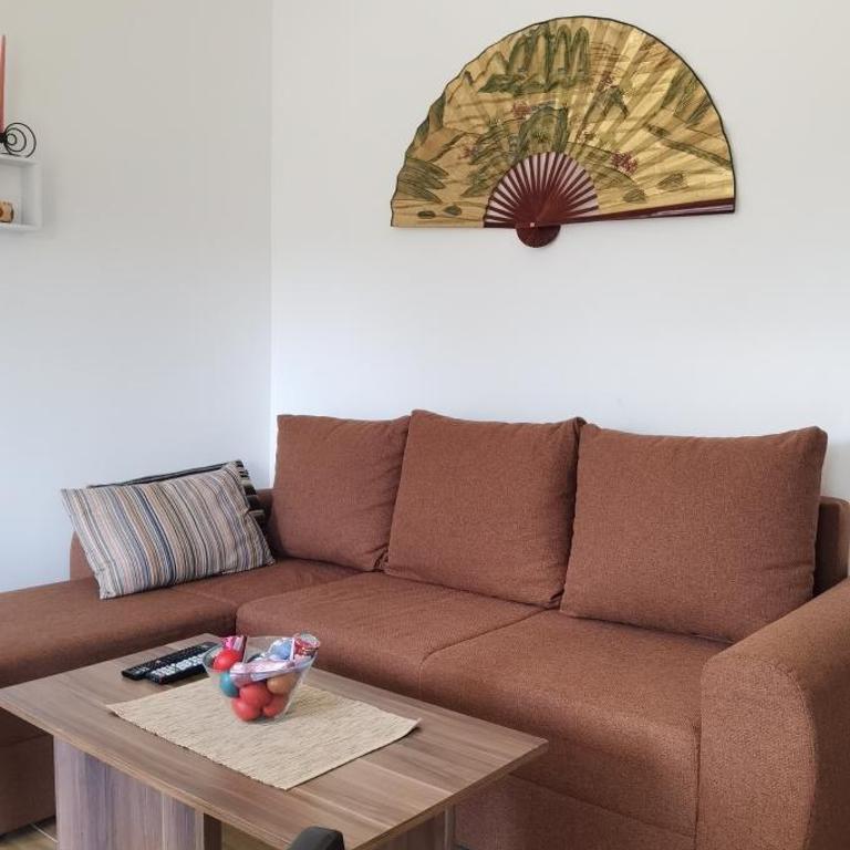 Apartman Filip Divčibare - Apartman sa 1 Spavaćom Sobom - 13