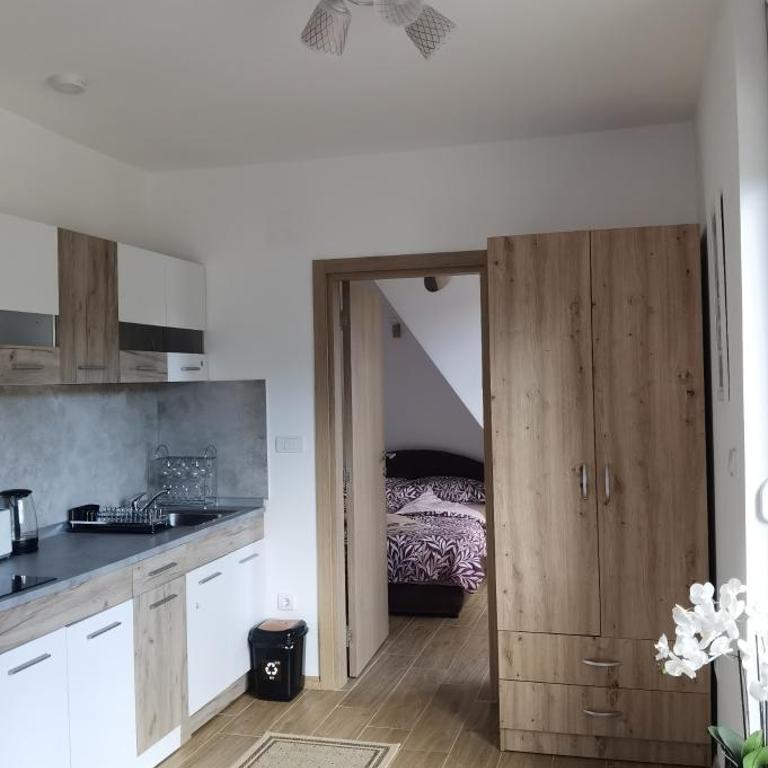 Apartman Filip Divčibare - Apartman sa 1 Spavaćom Sobom - 14
