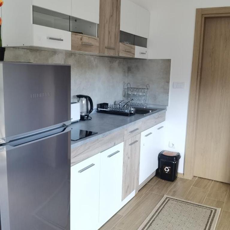 Apartman Filip Divčibare - Apartman sa 1 Spavaćom Sobom - 18