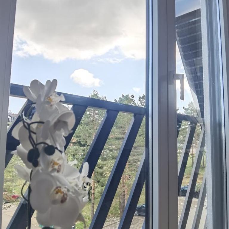 Apartman Filip Divčibare - Apartman sa 1 Spavaćom Sobom - 27