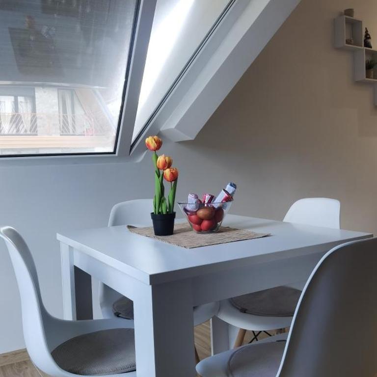 Apartman Filip Divčibare - Apartman sa 1 Spavaćom Sobom - 29