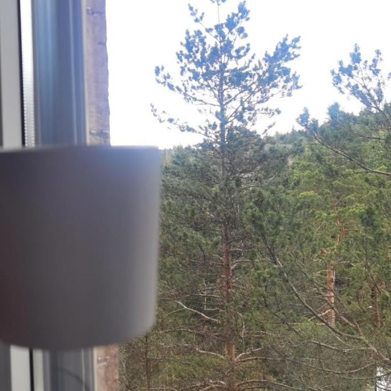 Apartman Filip Divčibare - Apartman sa 1 Spavaćom Sobom - 30