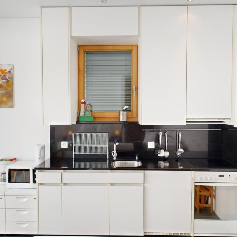 Schweizerhaus Apartments - La Montenella 1.5-Room Apartment - 1