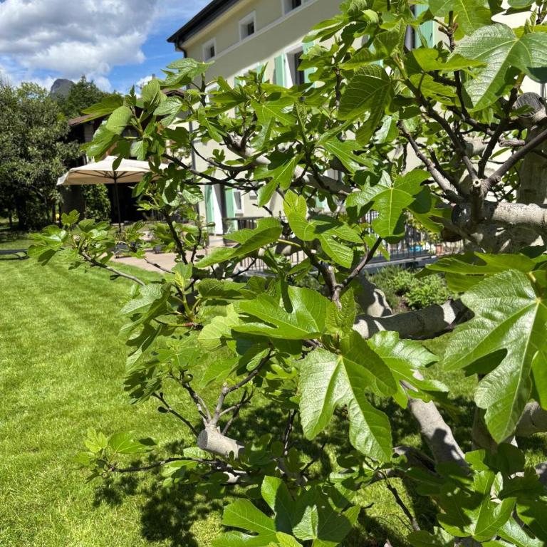 La Casa nella Vigna - Appartamento con 3 Camere da Letto - 29