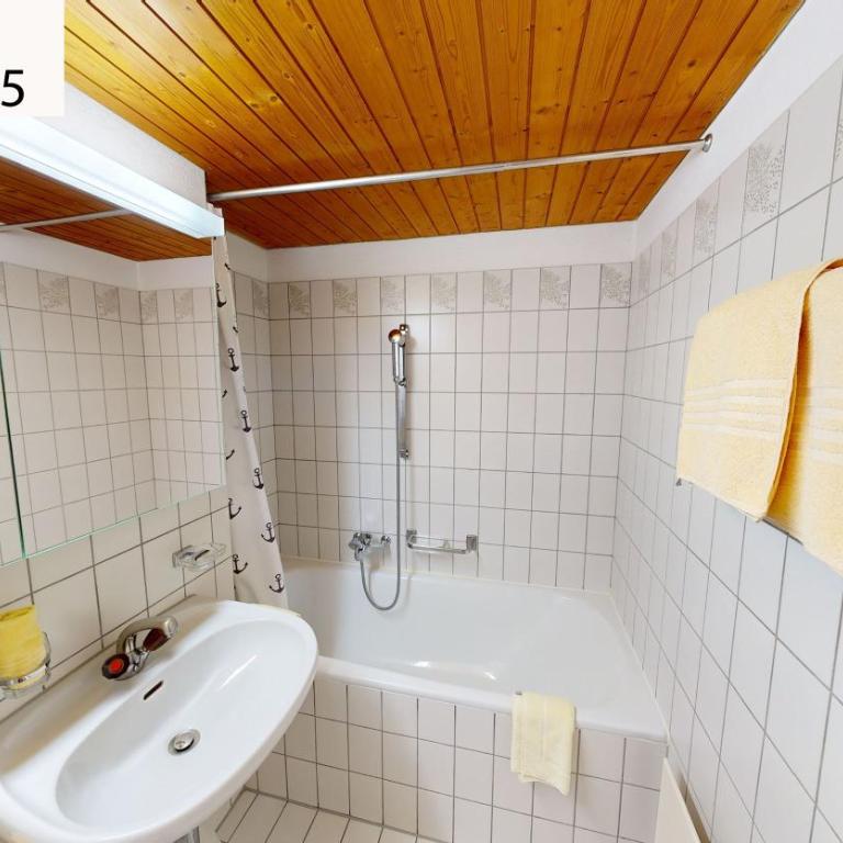 Schweizerhaus Apartments - Pöstli 1.5-Room Apartment - 11