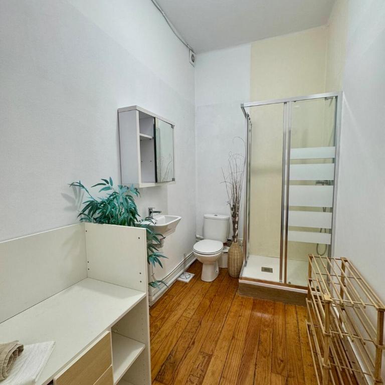 Centro Peatonal 5 Habitaciones con Balcón - Apartment mit 5 Schlafzimmern - 18