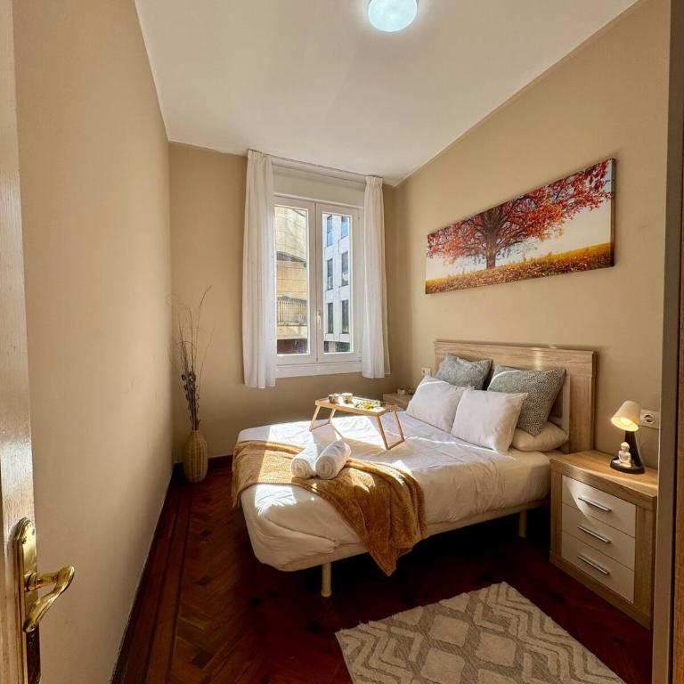 Centro Peatonal 5 Habitaciones con Balcón - Apartment mit 5 Schlafzimmern - 31