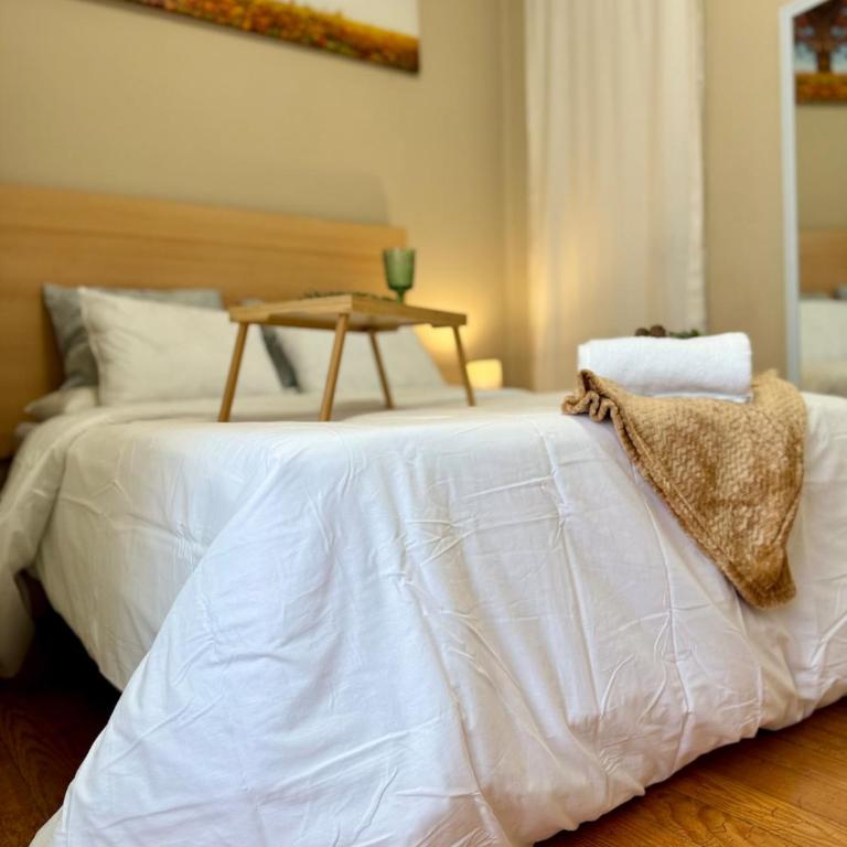 Centro Peatonal 5 Habitaciones con Balcón - Apartment mit 5 Schlafzimmern - 37