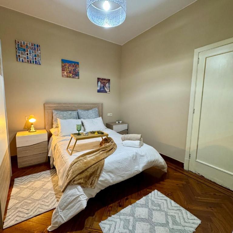 Centro Peatonal 5 Habitaciones con Balcón - Apartment mit 5 Schlafzimmern - 49