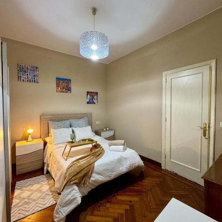 Centro Peatonal 5 Habitaciones con Balcón - Apartment mit 5 Schlafzimmern - 69