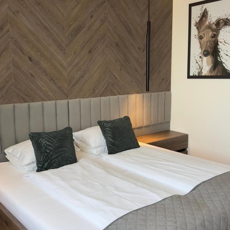 DOM Boutique Apartments - Park View - Apartman sa 1 Spavaćom Sobom - 7