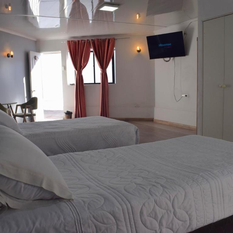 Hotel Flamingo - Habitación Doble - 1 o 2 camas - 1