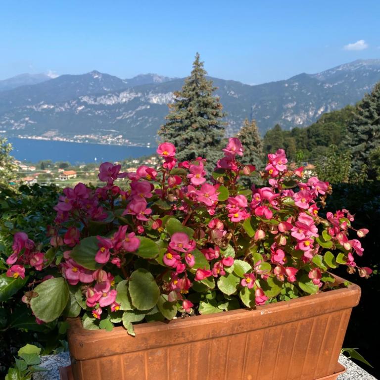 Bellagio Panorama - lake view - Three-Bedroom Apartment - 33