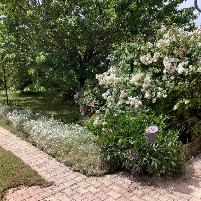 Super maison 5 pièces avec jardin - Villa de 3 dormitorios - 50