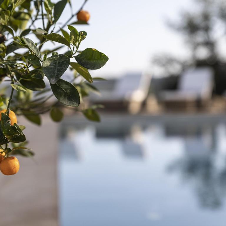 Agriturismo PANCOLINA - Double Room with Terrace - 5