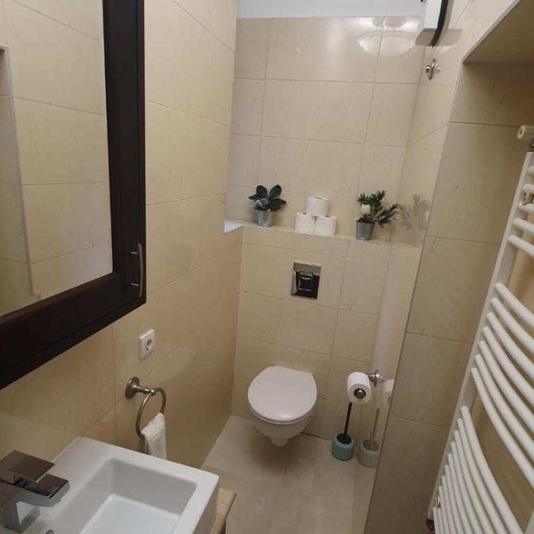 World Traveler - One-Bedroom Apartment - 12