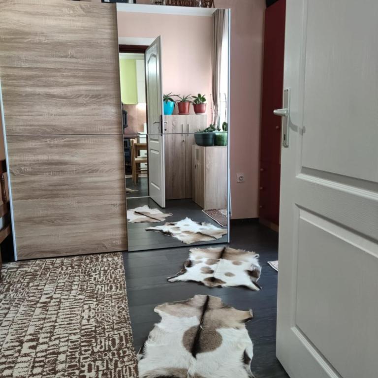Harmonia LUX Kolašin - Apartman sa 1 Spavaćom Sobom - 17