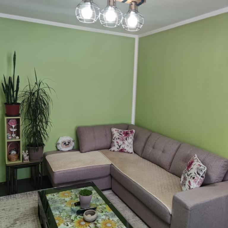 Harmonia LUX Kolašin - Apartman sa 1 Spavaćom Sobom - 21