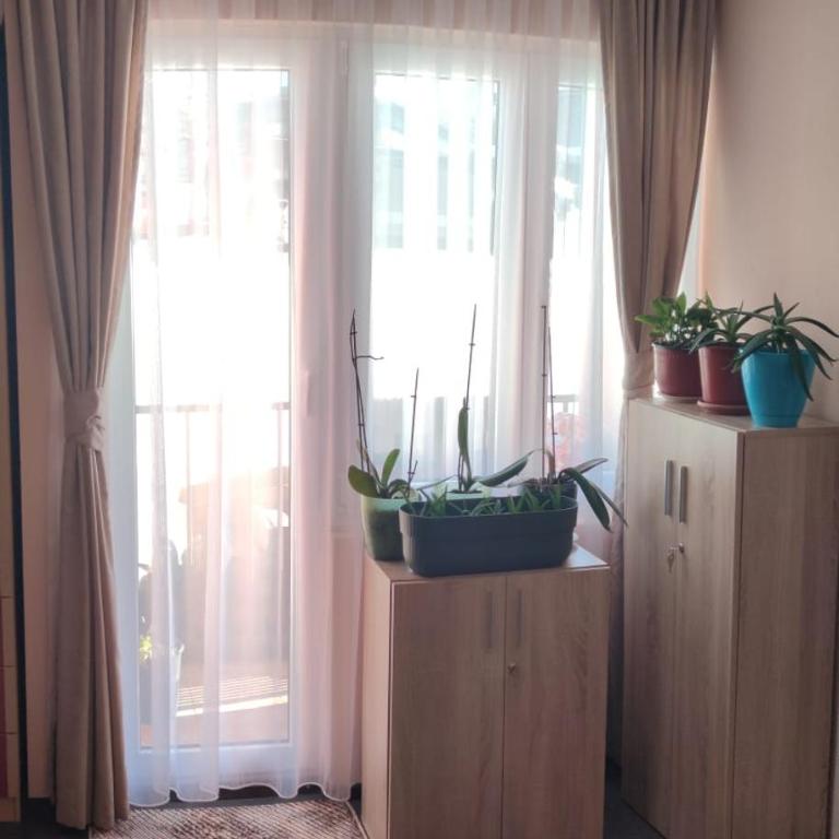 Harmonia LUX Kolašin - Apartman sa 1 Spavaćom Sobom - 41