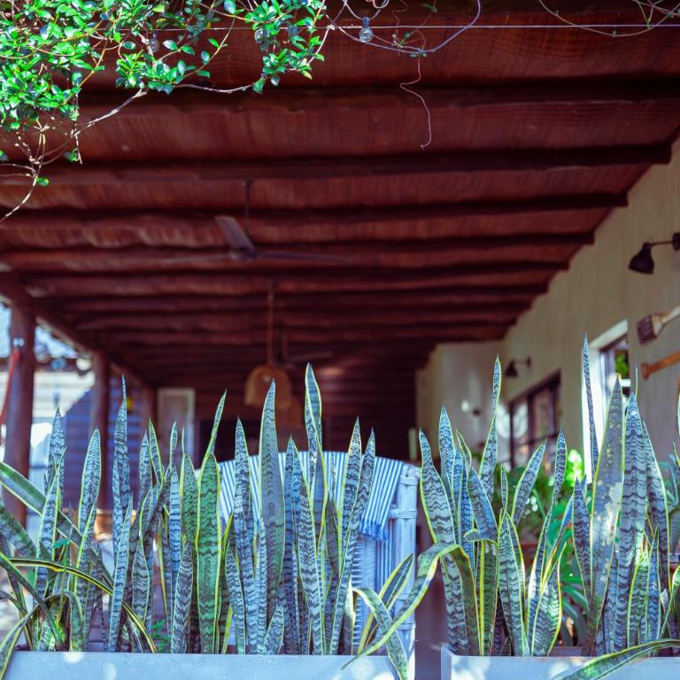 Casa Jazmín - Brisas del Lago - Two-Bedroom House - 62