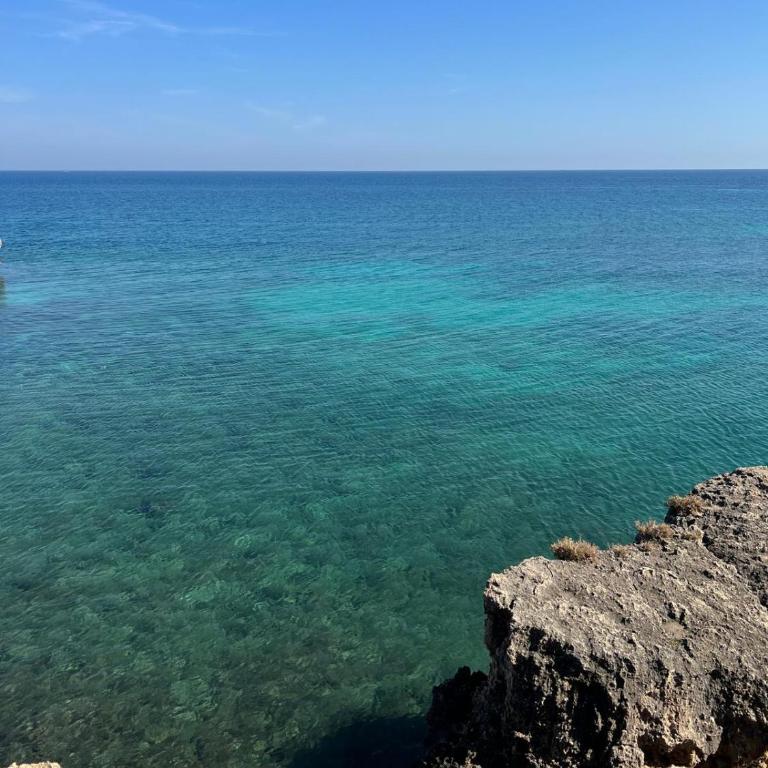La chianca rosa di Balice - Villa con 2 Camere da Letto - 27