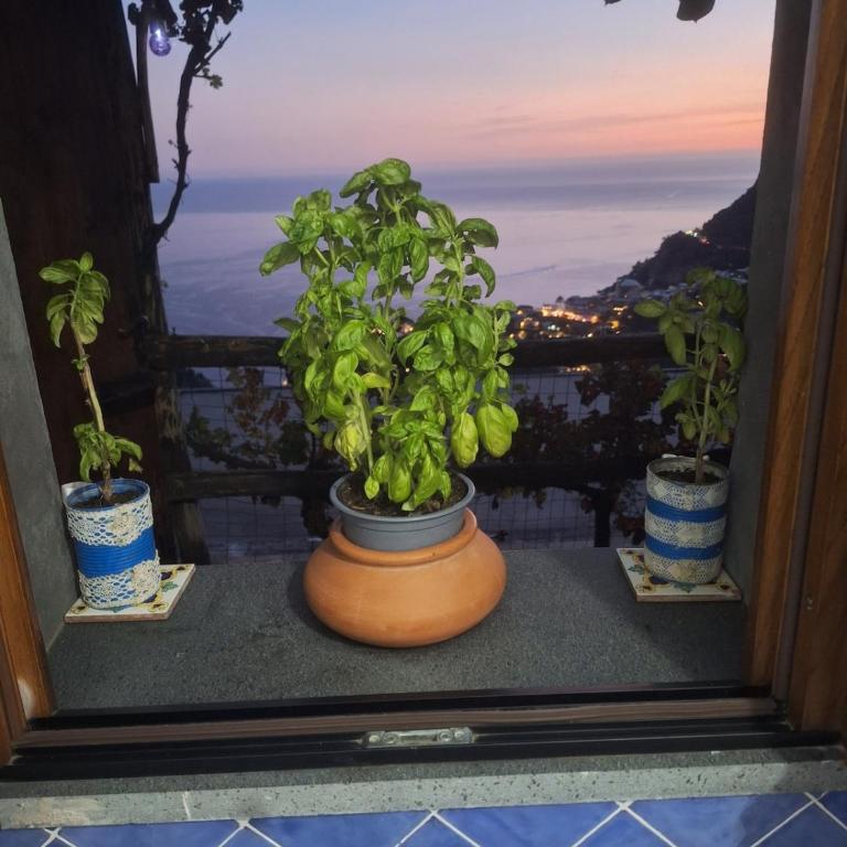 Casa Valle del Sole - Casa con 1 Camera da Letto - 74