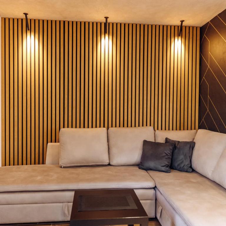Apartman Pavlović Lux - Apartman sa 1 Spavaćom Sobom - 4