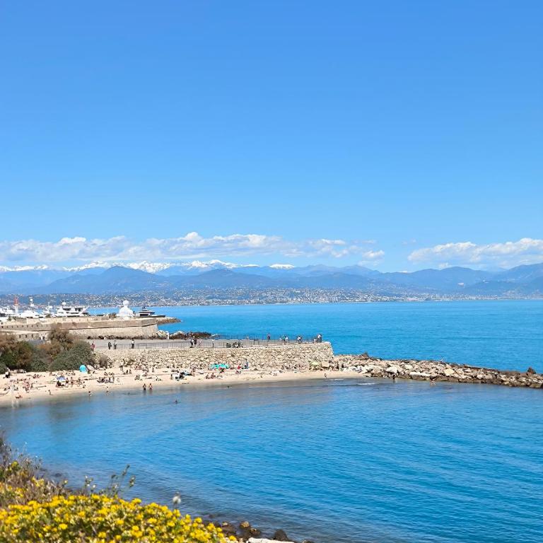 TANIT ARAD Classé 40m2 T1 TERRASSE ANGLE 35 m2 PISCINE PARKING - Appartamento Superior - 38
